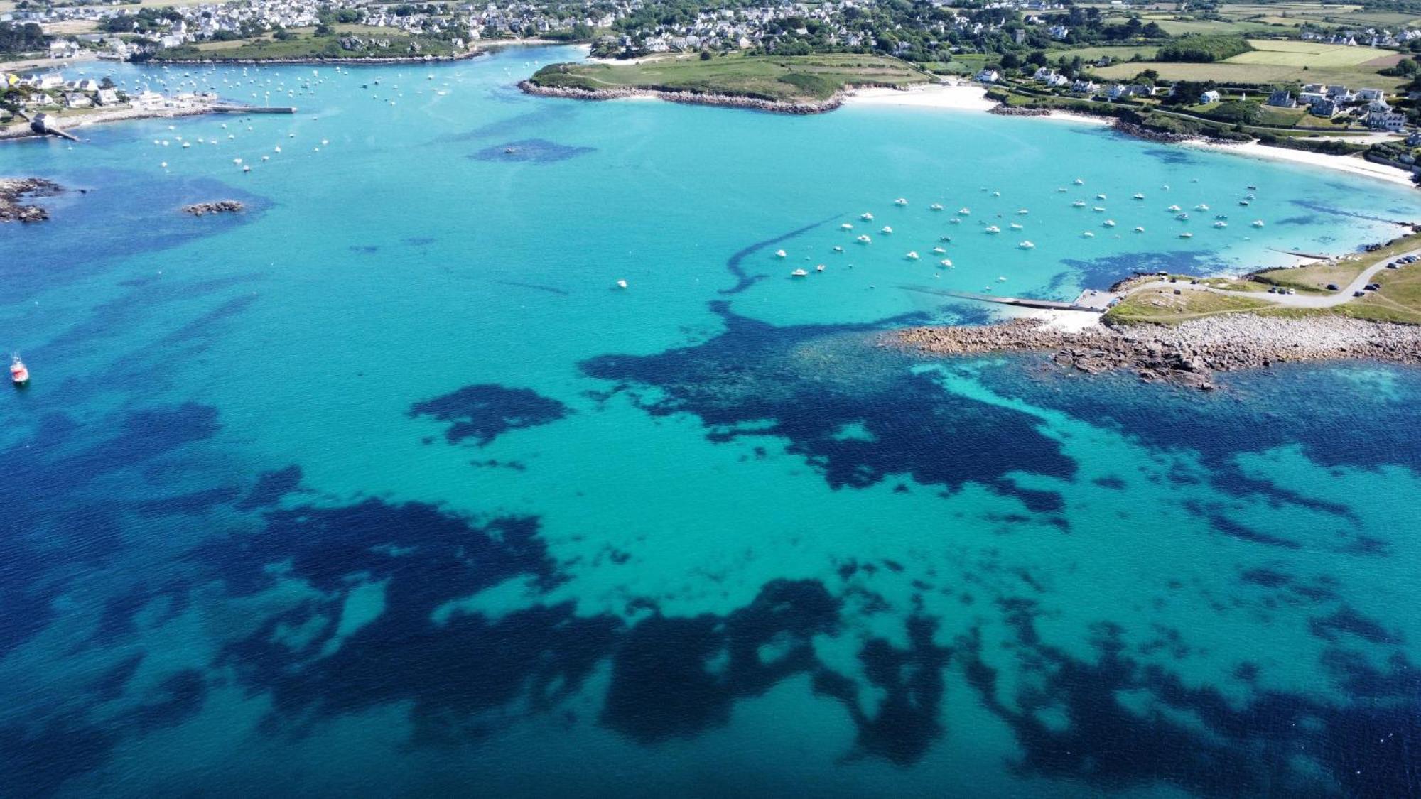 Ty Nevez - Jolie Maison Neuve Avec Petite Vue Mer Saint-Pabu  Bagian luar foto