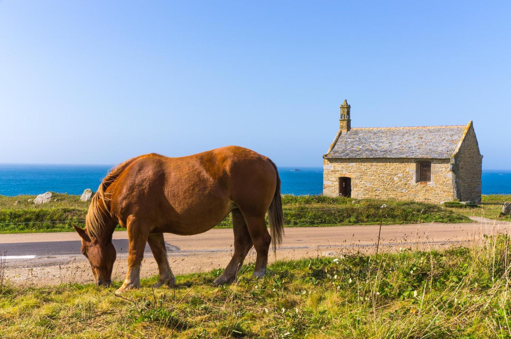 Ty Nevez - Jolie Maison Neuve Avec Petite Vue Mer Saint-Pabu  Bagian luar foto